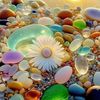 siencesnaturelles