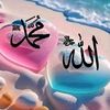 jatt.ali.mola