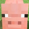 wyofoxboy13