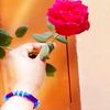 user170705390261