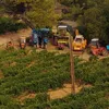 l_agri_et_le_viti_du_34