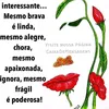 user7365491136174
