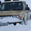 pzhdar12