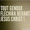 www.tiktok.faveur.com