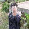 moinulx7