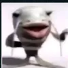 schnaggi0