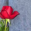 baraa_gh20