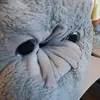 pro_noober