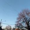 sossafak