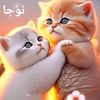 user5320247619573