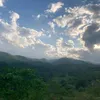jmsrnqlo