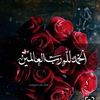 hibamohammed792