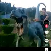 onibusclt