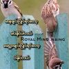 zaw.zaw.htwe14