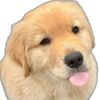 axwpin_
