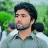 safi__gull