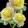 user9191820810376