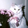 izzy_lyza