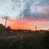 romchik_719