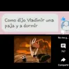 pepe_pito