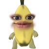 serlinasptr_