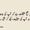 ziddi.larka089