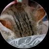 girl_sleep3232