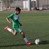noam_1158