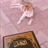 الٖــسُّ٘ـــنـَۧٗـہٚۧ