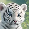 lonelytiger037