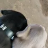 vj_jr0