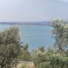 umut5437890