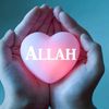 mohammadashrafkha22