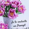 moml87y