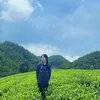 Giang Trà Thái Nguyên