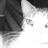 william.jl
