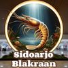Sidoarjo Blakraan