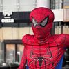 spiders577