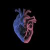 ourheart02