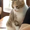 buoznthinguz_