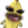 kxrpt85