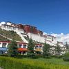 travelforlife2511