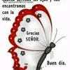 estefkfmy5j