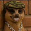 _ajoke1