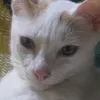 so4bikhug