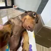 deptraiinhungmaabikhungg