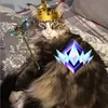 proxzyfn._