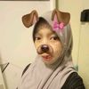 aalifah276