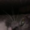 201120112011as