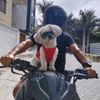 siemprebiker29